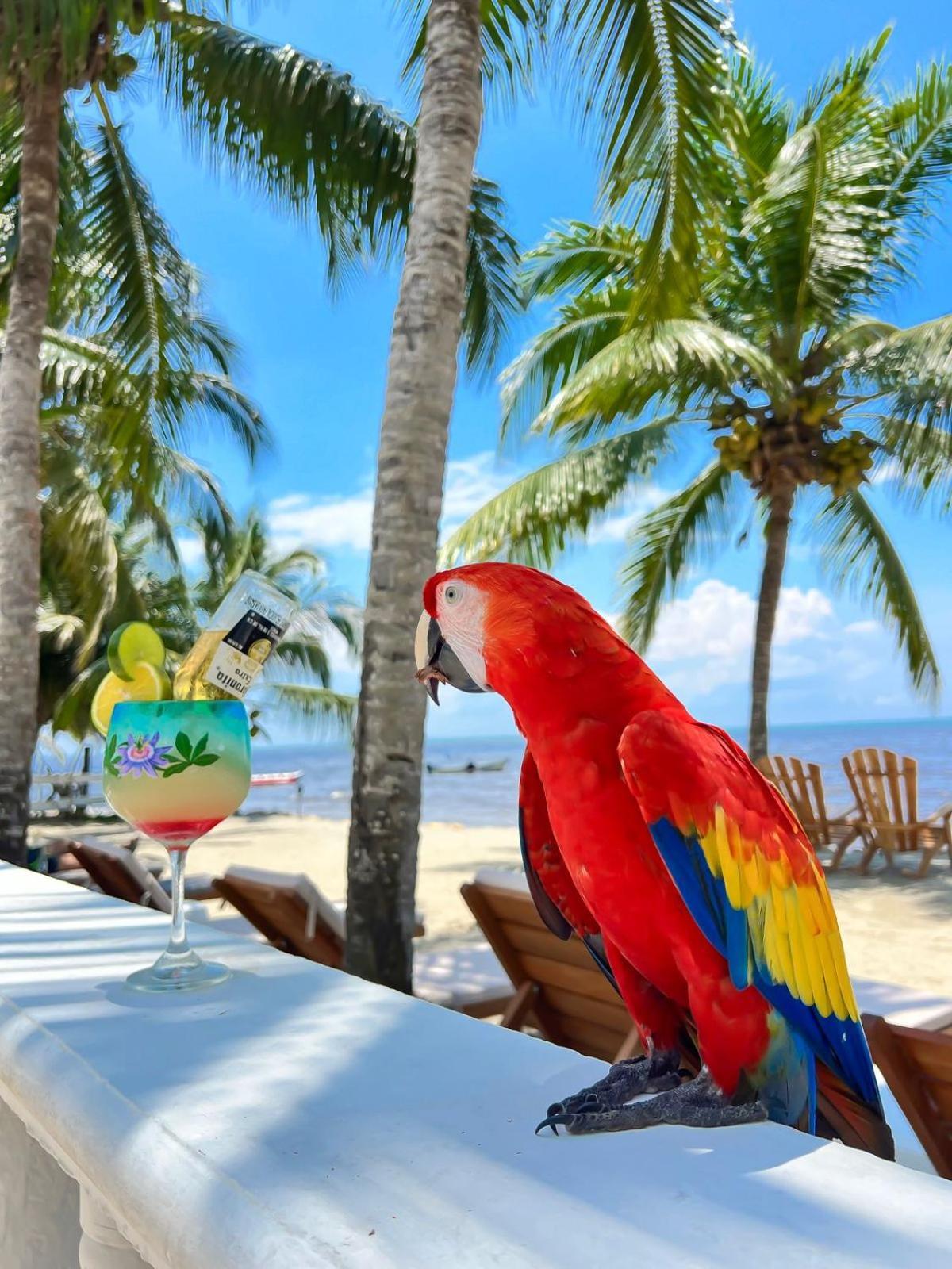 Hotel Costa Linda Tolu Luaran gambar